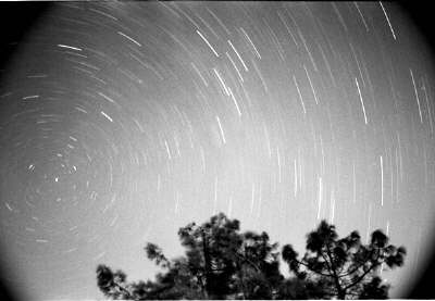 perseids